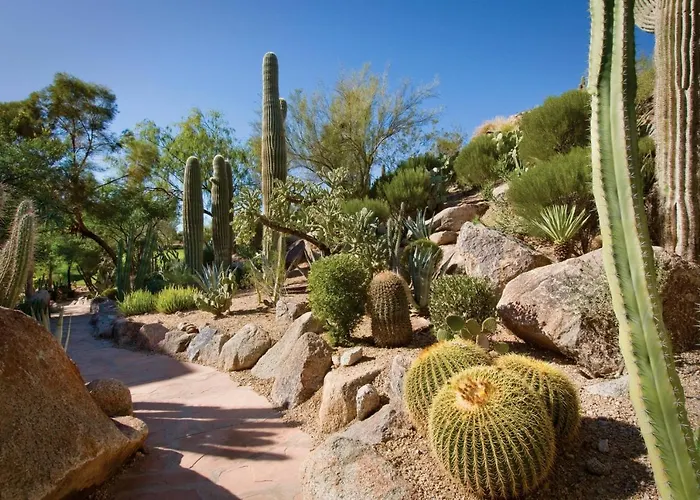 Resort The Canyon At The Phoenician, A Luxury Collection Resort, Scottsdale Paradise Valley