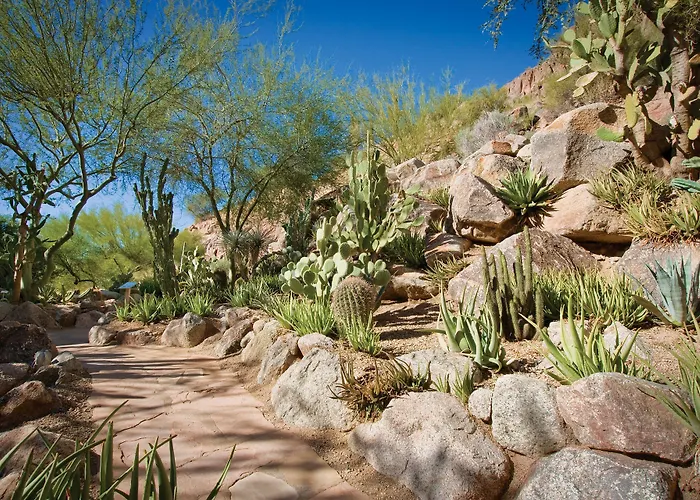 Resort The Canyon At The Phoenician, A Luxury Collection Resort, Scottsdale 5*
